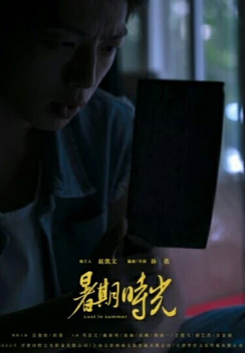 Poster for Lost in Summer