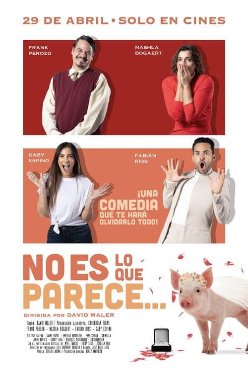 Poster for No es lo que parece