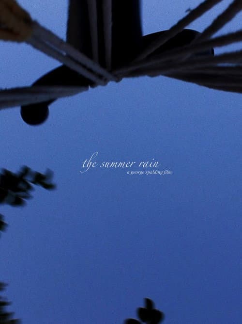 Poster for The Summer Rain