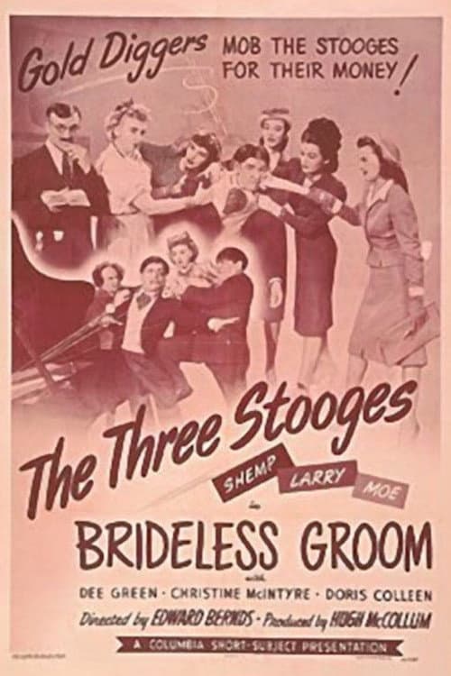 Poster for Brideless Groom
