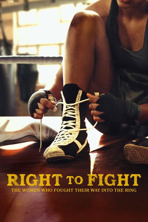 Poster for Right to Fight