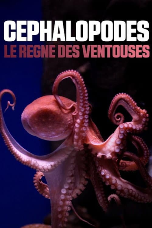 Poster for Cephalopods: The Reign of Suckers