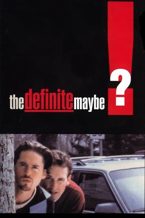 Poster for The Definite Maybe
