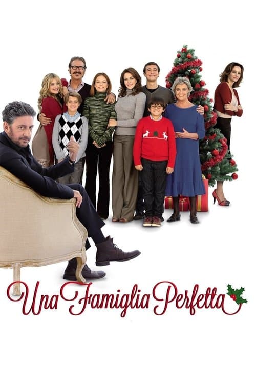 Poster for A Perfect Family
