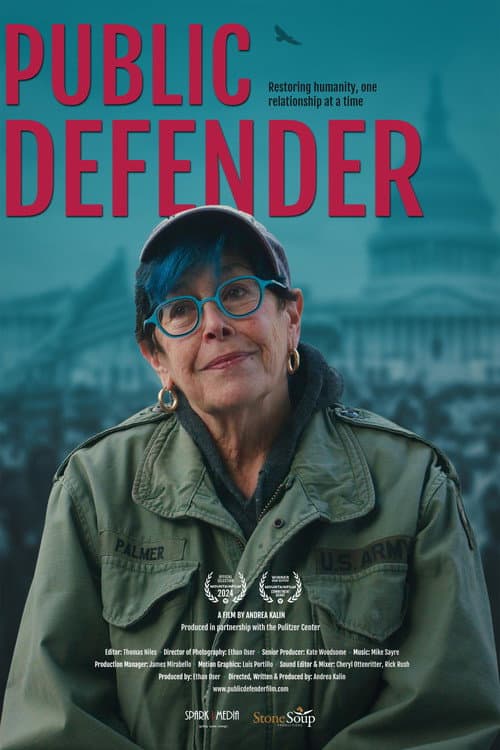 Poster for Public Defender