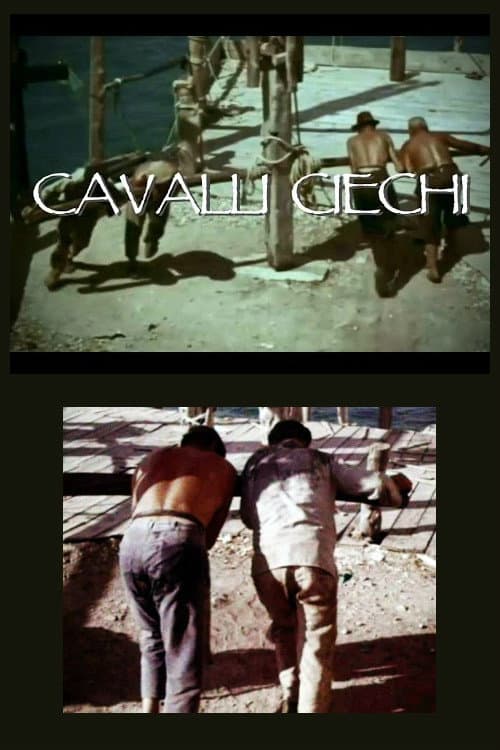 Poster for Cavalli ciechi