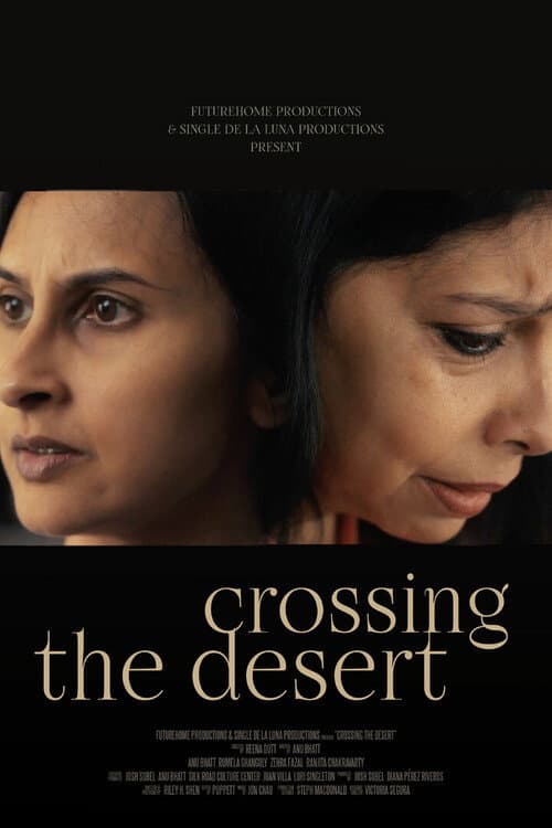 Poster for Crossing the Desert