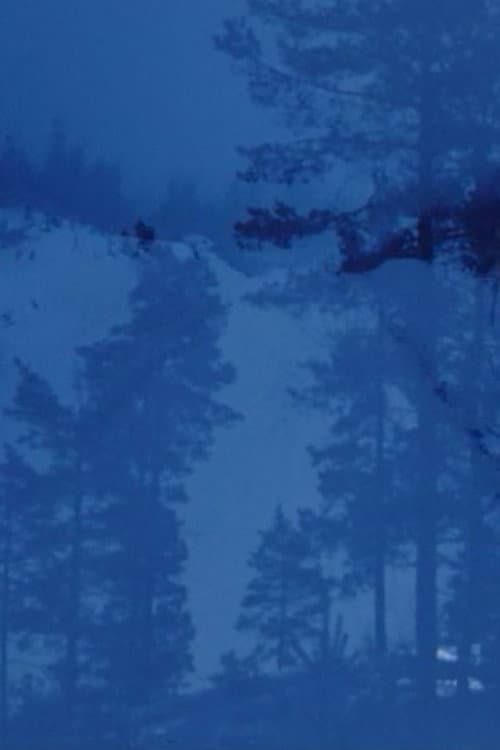 Poster for Winterfarbe II