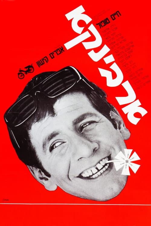 Poster for Ervinka