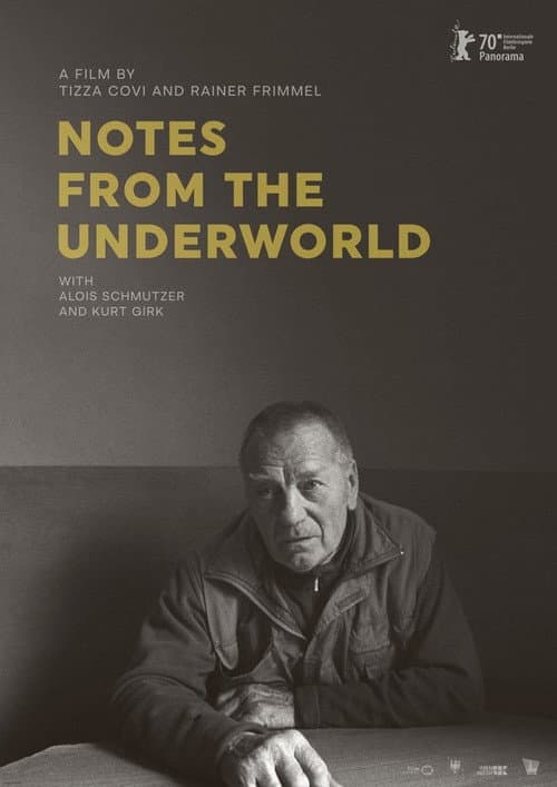 Poster for Notes from the Underworld