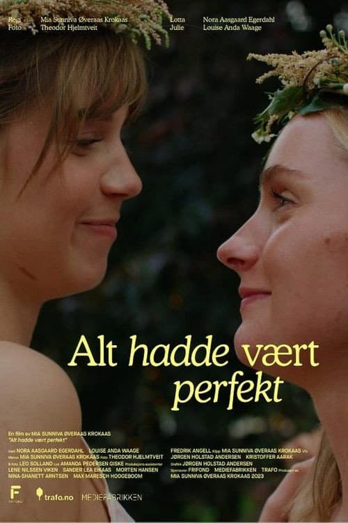 Poster for Everything Had Been Perfect