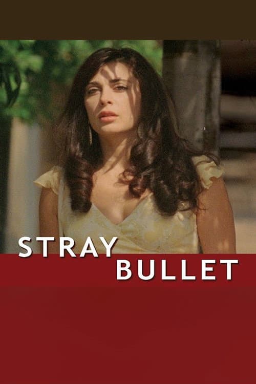 Poster for Stray Bullet