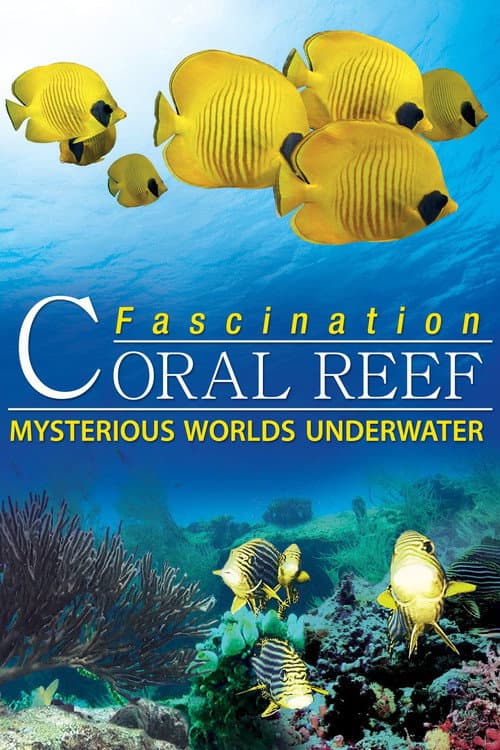 Poster for Fascination Coral Reef: Mysterious Worlds Underwater