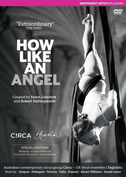 Poster for How Like An Angel
