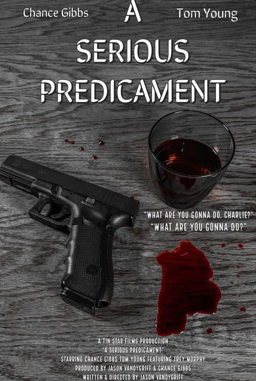 Poster for A Serious Predicament