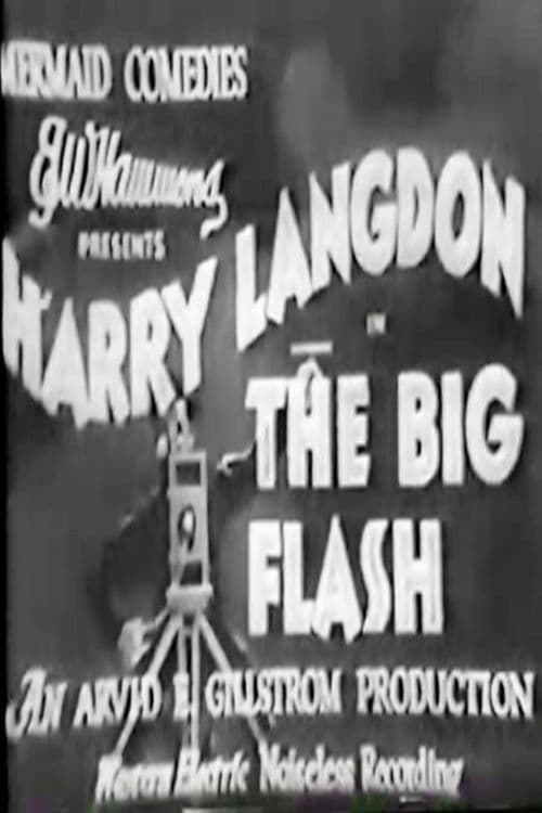 Poster for The Big Flash