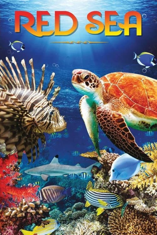 Poster for Red Sea