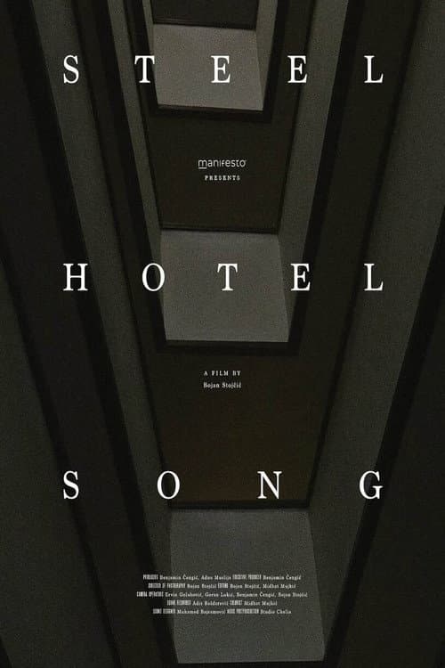Poster for Steel Hotel Song