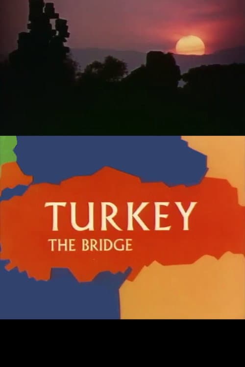 Poster for Turkey: The Bridge