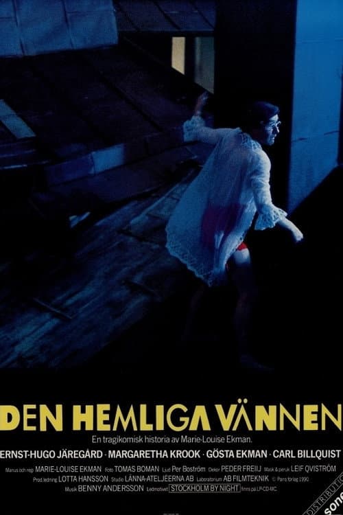 Poster for The Secret Friend