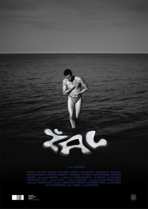 Poster for Žal