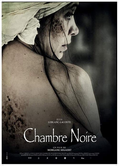 Poster for The Dark Room