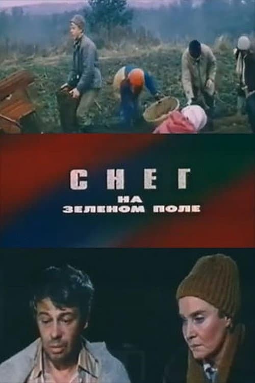 Poster for Snow on a Green Field