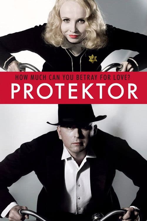 Poster for The Protector