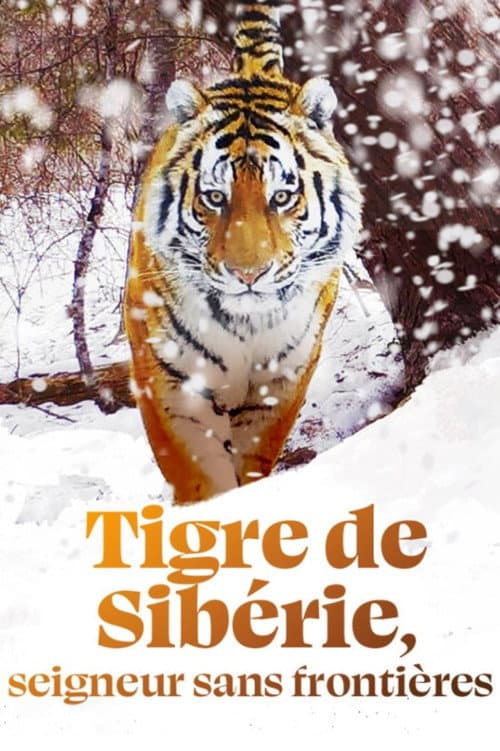 Постер до фільму «Tigre de Sibérie, seigneur sans frontières»