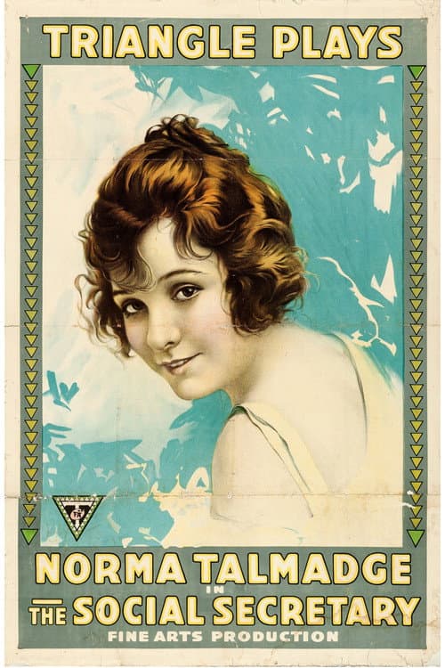 Poster for The Social Secretary