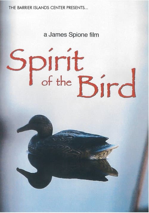 Постер до фільму «Spirit of the Bird»