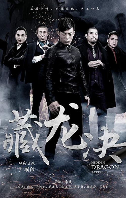 Poster for Hidden Dragon Battle
