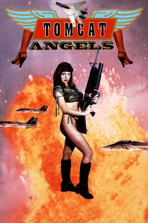 Poster for Tomcat Angels