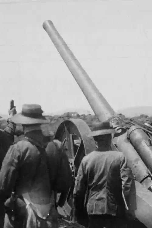 Постер до фільму «Naval Guns Firing at Colenso»