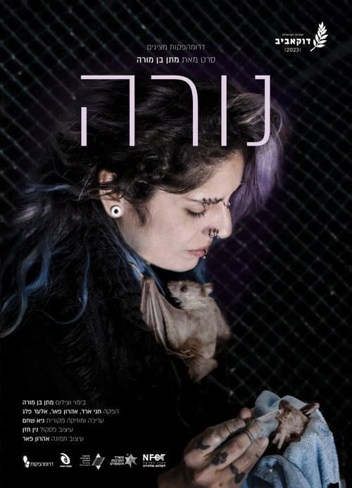 Poster for נורה