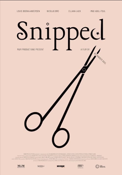 Poster for Snipped