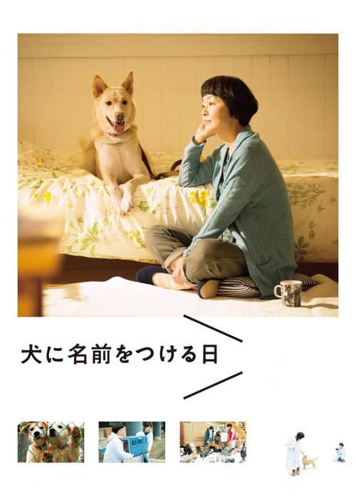 Poster for Dogs Without Names