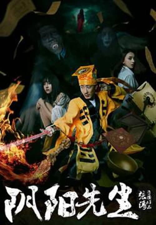 Poster for Mr Yin Yan