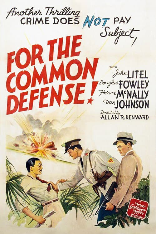 Poster for For the Common Defense!