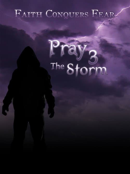 Poster for Pray 3D: The Storm