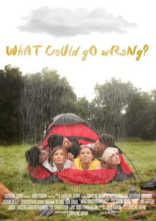 Poster for What Could Go Wrong?