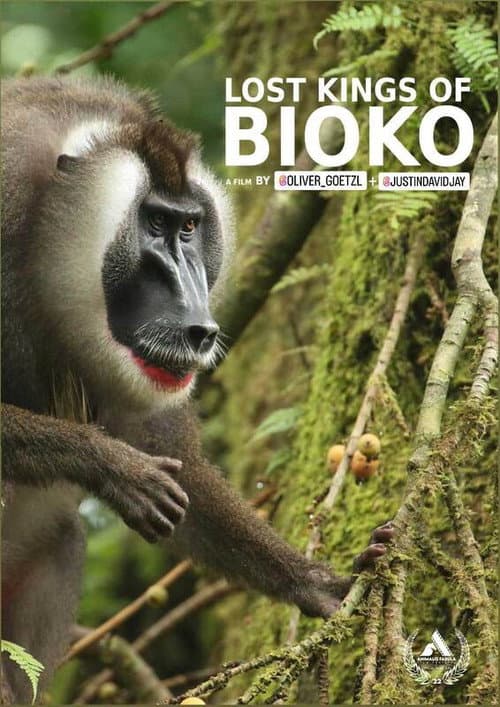 Poster for Lost Kings of Bioko