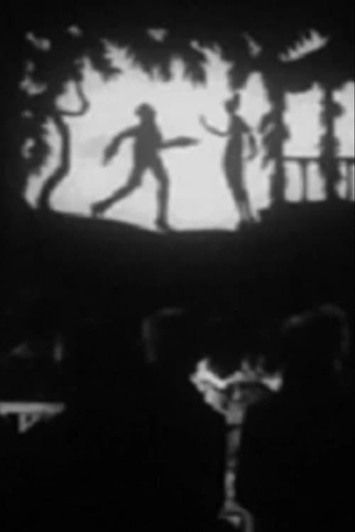 Poster for The Lost Shadow