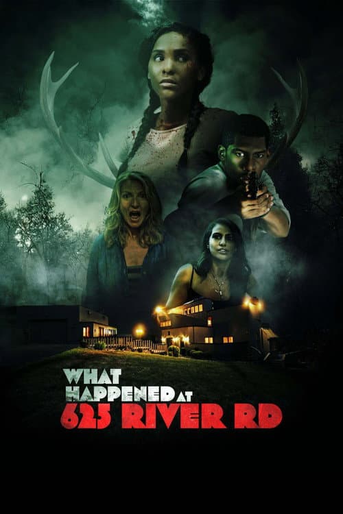 Poster for What Happened at 625 River Road?