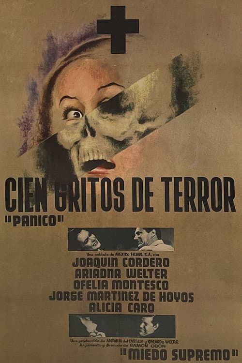 Poster for 100 Cries of Terror