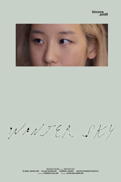 Poster for Winter Sky