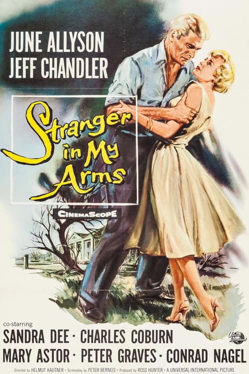 Poster for A Stranger in My Arms