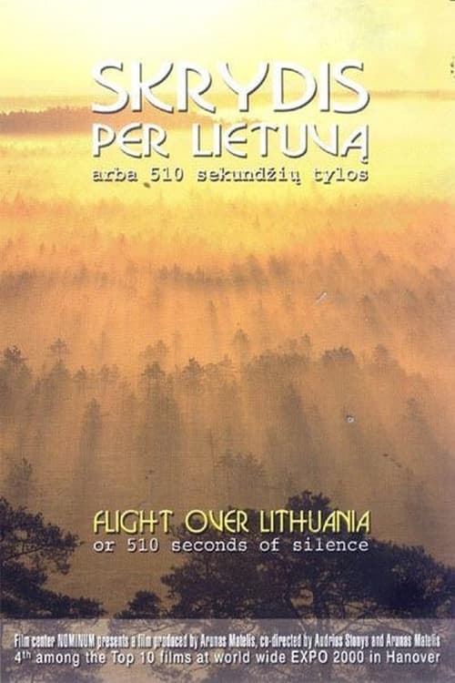 Poster for Flight Over Lithuania or 510 Seconds of Silence