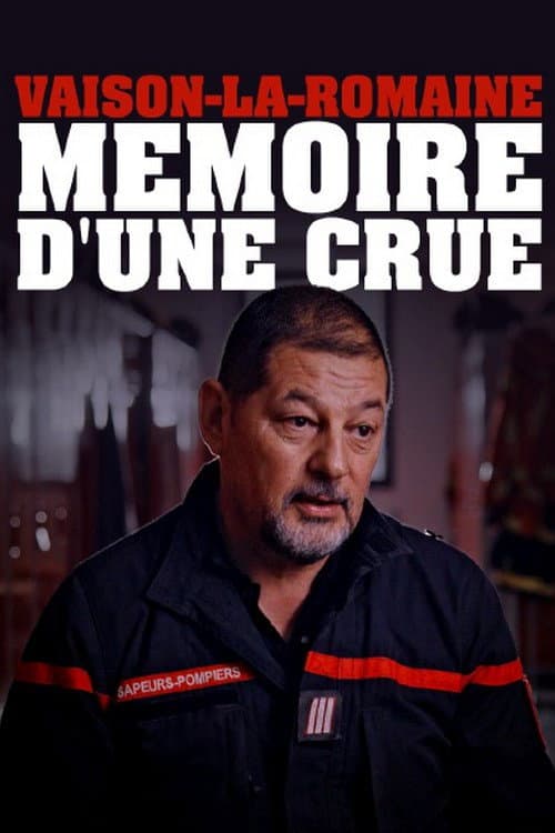 Poster for Vaison-la-Romaine, mémoire d'une crue