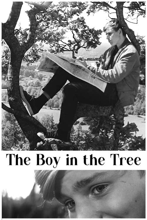 Poster for The Boy in the Tree